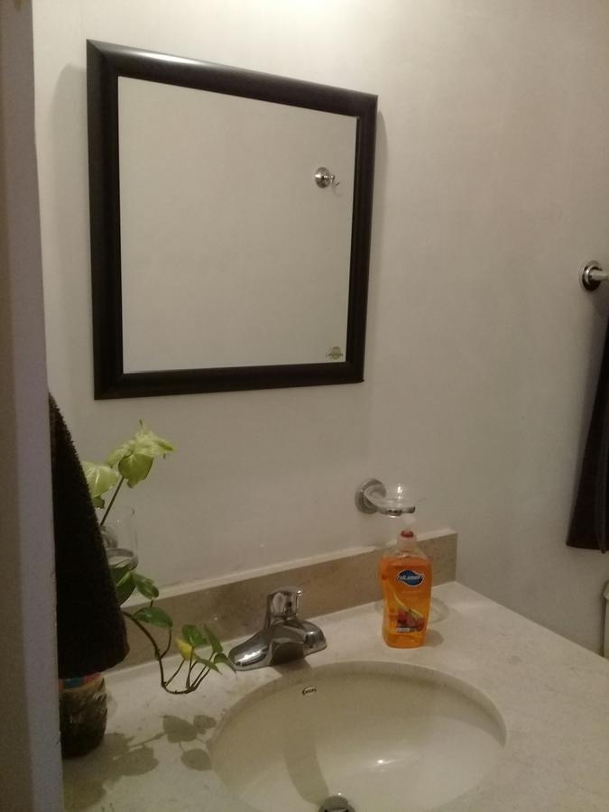 Consulado Suites Monterrey Exteriér fotografie